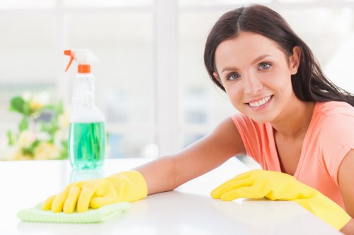 Professional domestic cleaning in an Earlscourt living room