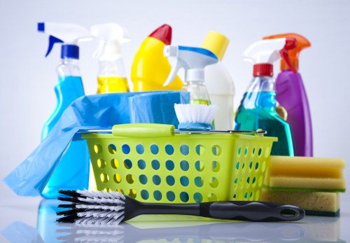 Experienced carpet cleaners working in an Earlscourt property