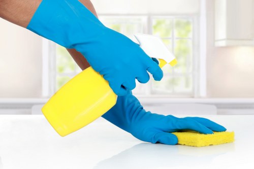 Professional house clearance process in an Earlscourt home