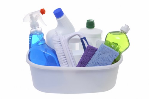 Professional cleaners in Earlscourt cleaning a modern home interior
