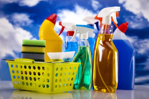 Professional carpet cleaning in Earlscourt for a refreshed living room