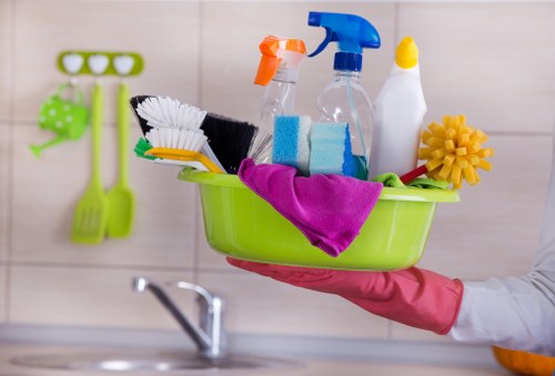 Professional cleaner in Earlscourt providing home cleaning services