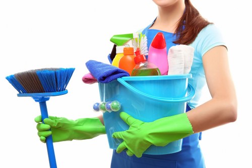 Regular sofa maintenance and professional cleaning in Earlscourt