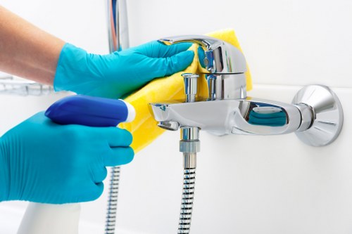 Carpet cleaning appointment and service preparation terms