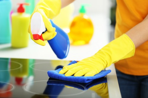 Bathroom cleaning carried out in an Earlscourt home