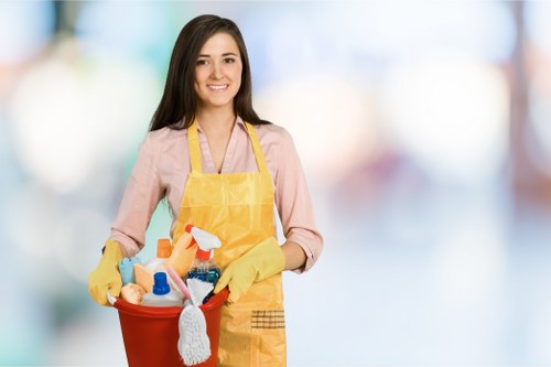 Domestic cleaners in Earlscourt vacuuming and dusting a living space