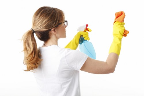 Residential carpet cleaning process in Earlscourt with drying care