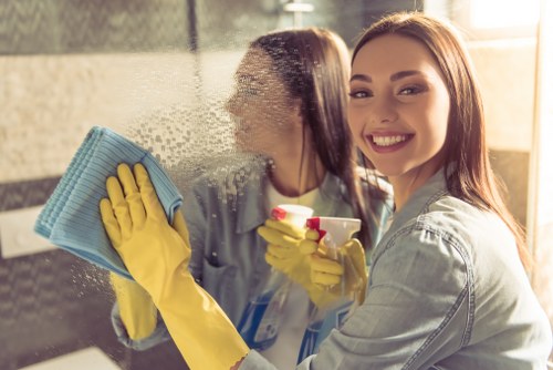 Deep cleaning equipment used for rug cleaning in Earlscourt