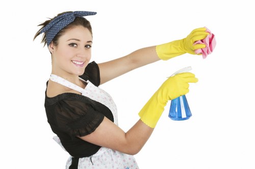Fresh and hygienic oven cleaning result for Earlscourt residents