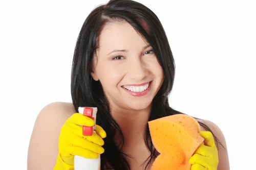 Stain treatment and traffic lane cleaning on carpet