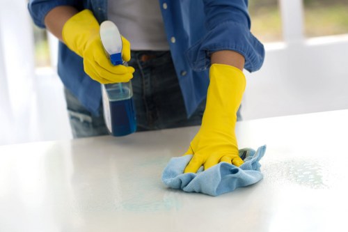 Specialized cleaning services in Earlscourt for a fresh and tidy workspace