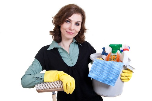 Deep carpet cleaning equipment used in Earlscourt home service