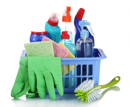 Accessible carpet cleaning information on a mobile device